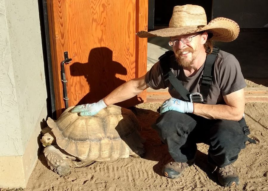 master electrician gabriel with a tortoise